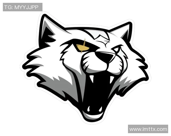 最新CSGO技术排行榜前十名V5战队表现卓越引领潮流